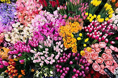 折纸主题平台跳跃游戏《Hirogami》公布预告 玩法新颖美术独特！