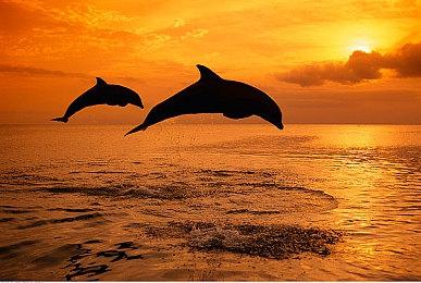 Epic喜加二：《全面战争：战锤》和《黄铜之城》免费领