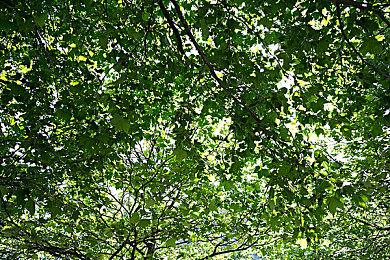 《使命召唤：黑色行动6》金库版官方主要艺术图泄露